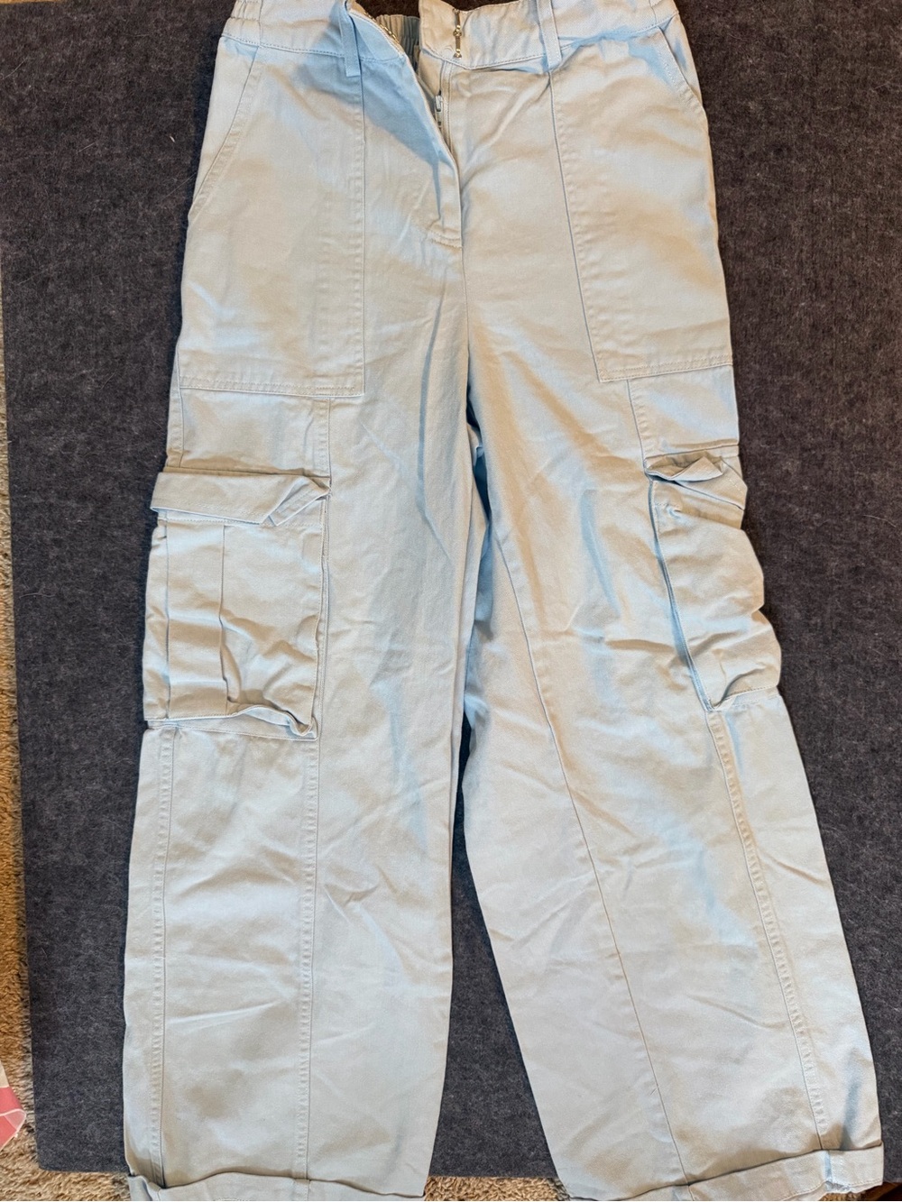 Altar'd State Light Blue Cargo Pants